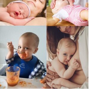 Pack 4x1 Posparto + Lactancia + Alimentación + Primeros Auxilios